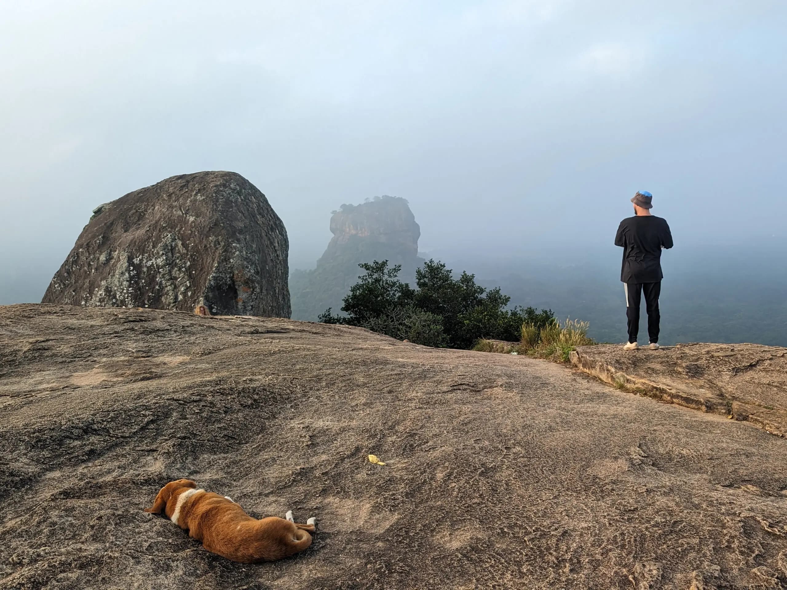 Pidurangala Rock-image