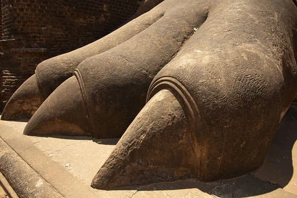 Sigiriya lion's paw-image