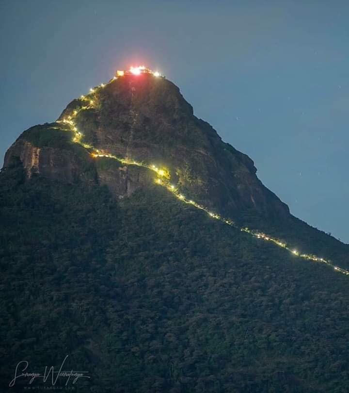 The Night Climb with Path Lights-image