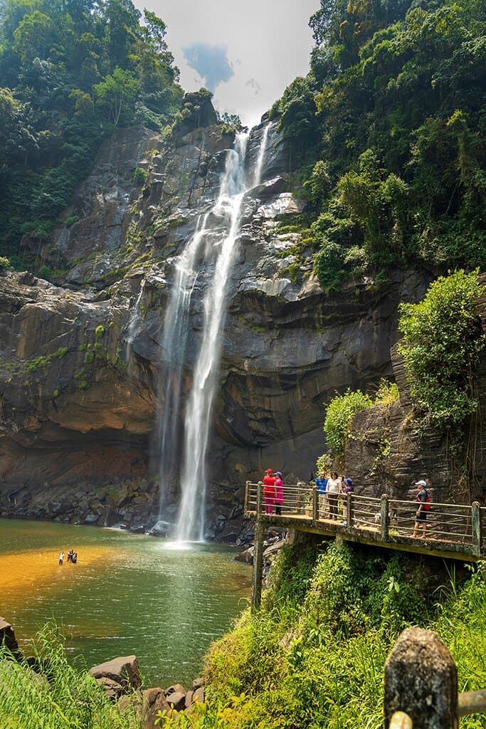 Scenic Jungle Hike-image