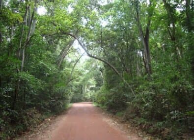 Badagamuwa Conservation Forest-image