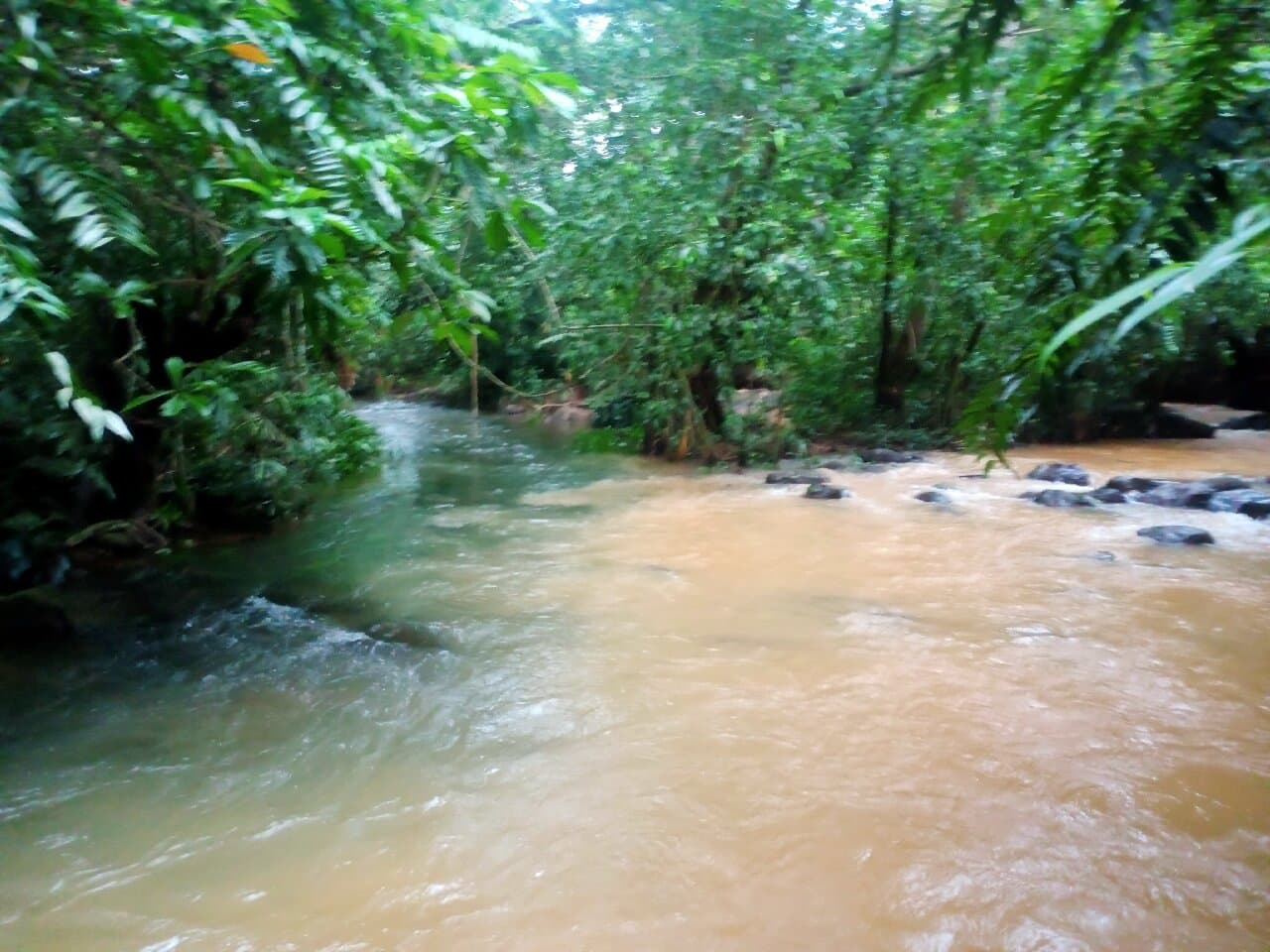 Natural Bathing Pool-image