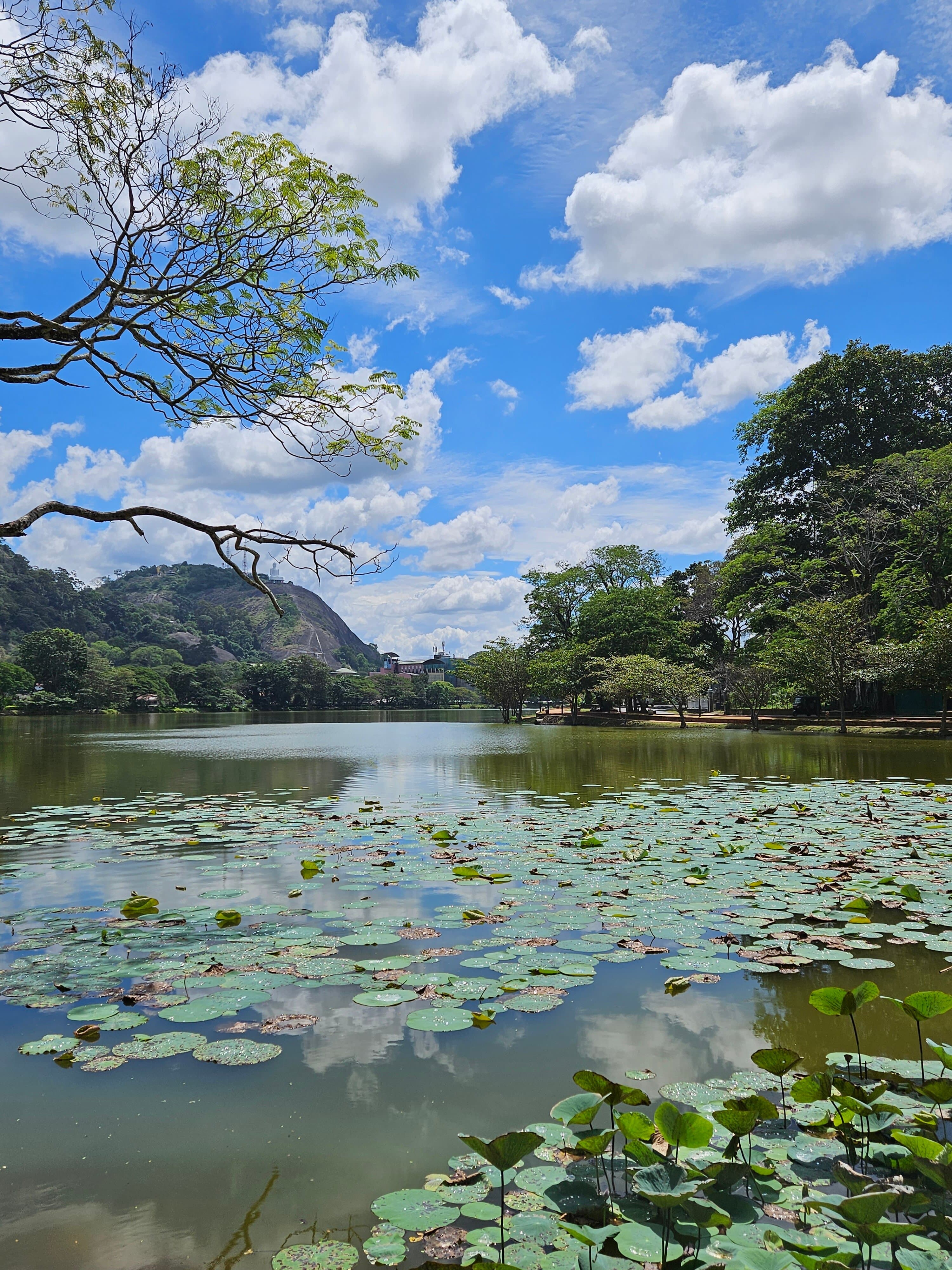 Kurunegala Lake-image