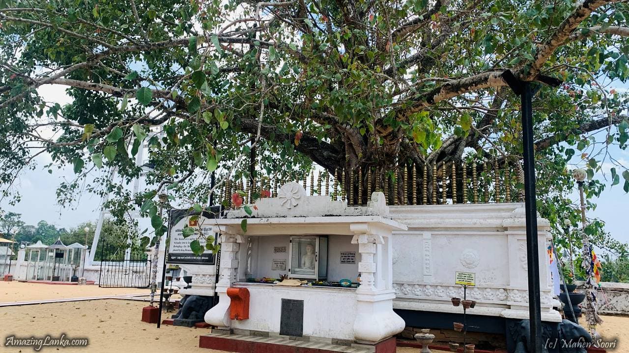 Weligama Temple-image