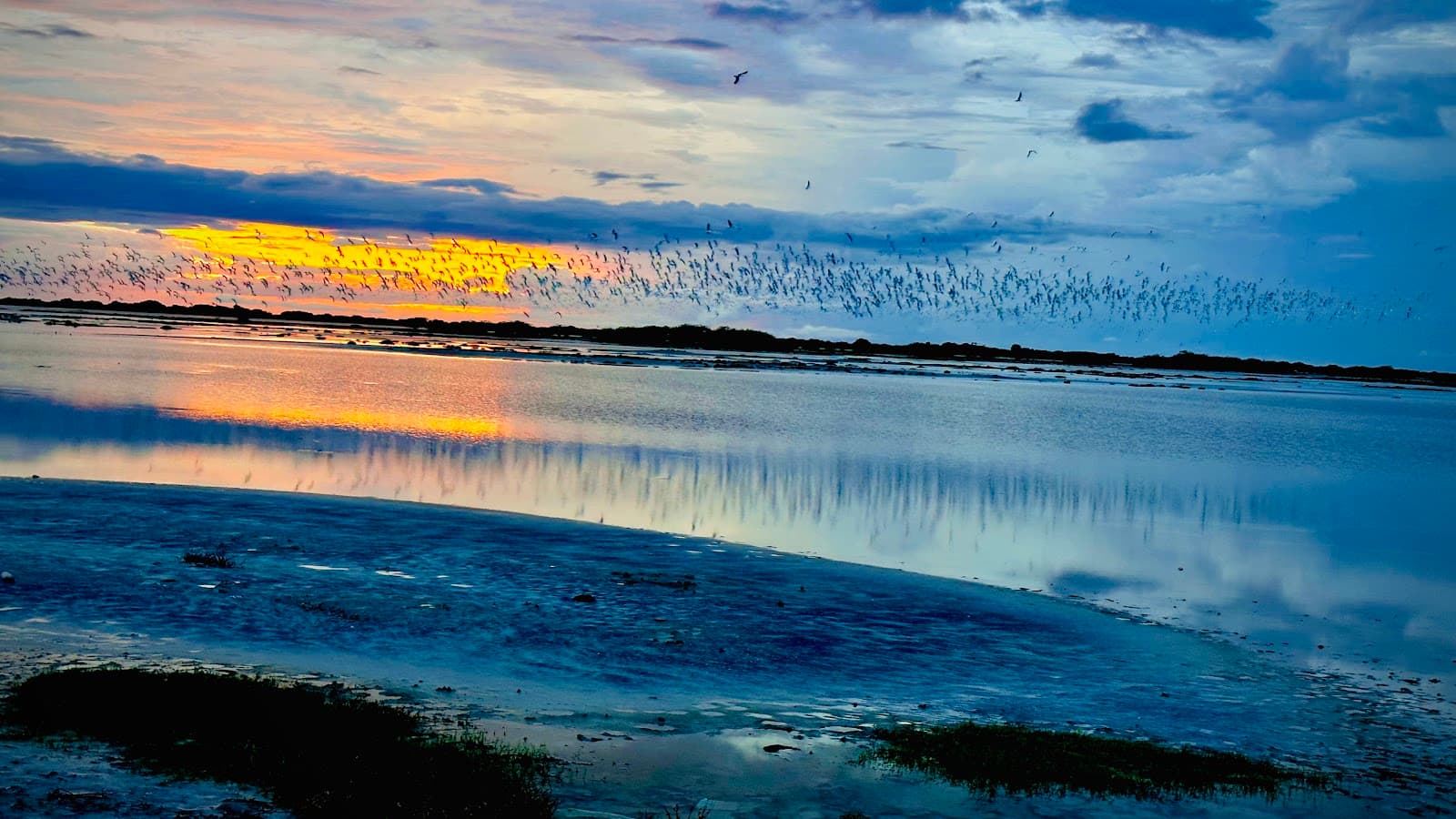 Vankalai Bird Sanctuary-image