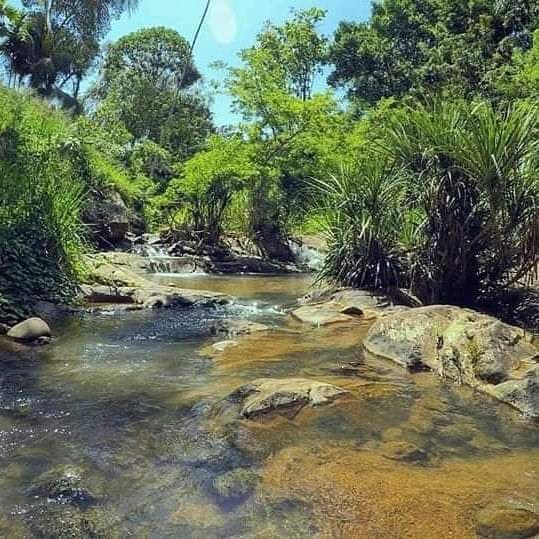 Gallanda Oya River-image