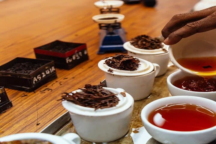 Spice Tea Tasting-image
