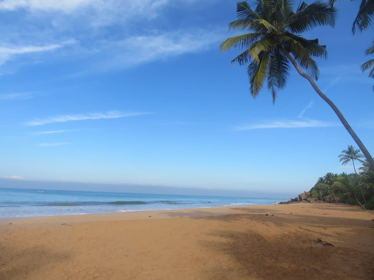 Kosgoda Turtle Conservation-image