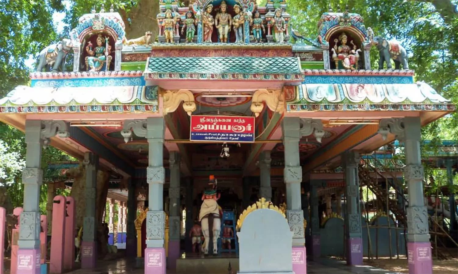 Sacred Bo Tree-image