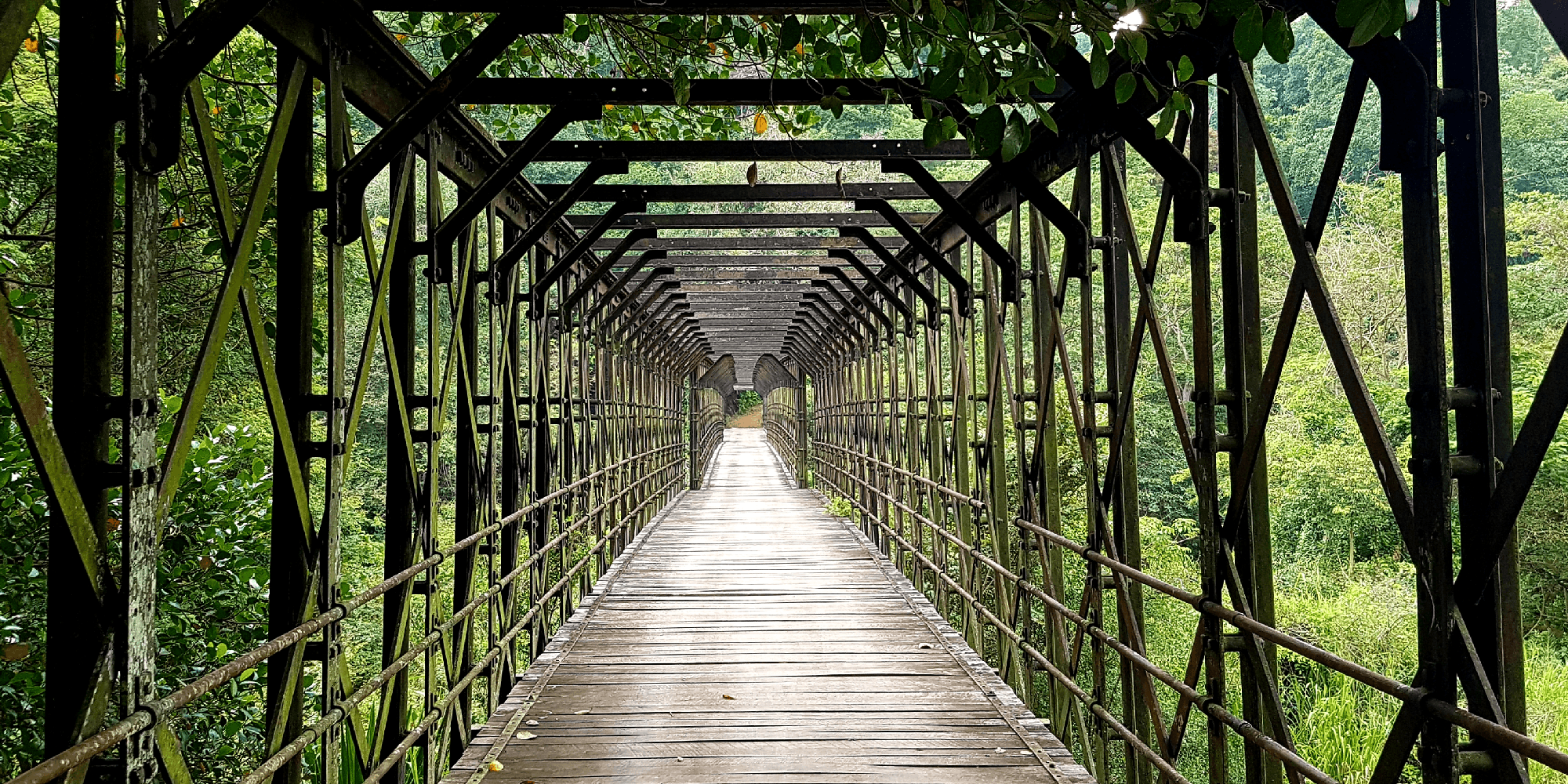 Halaba Bridge bg image