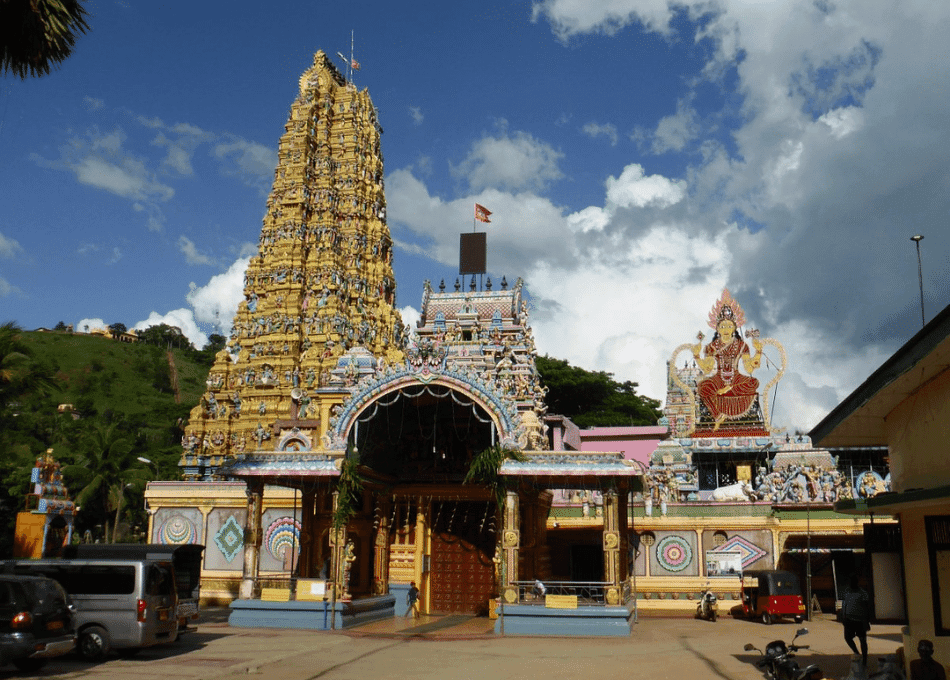 Local Architecture-image