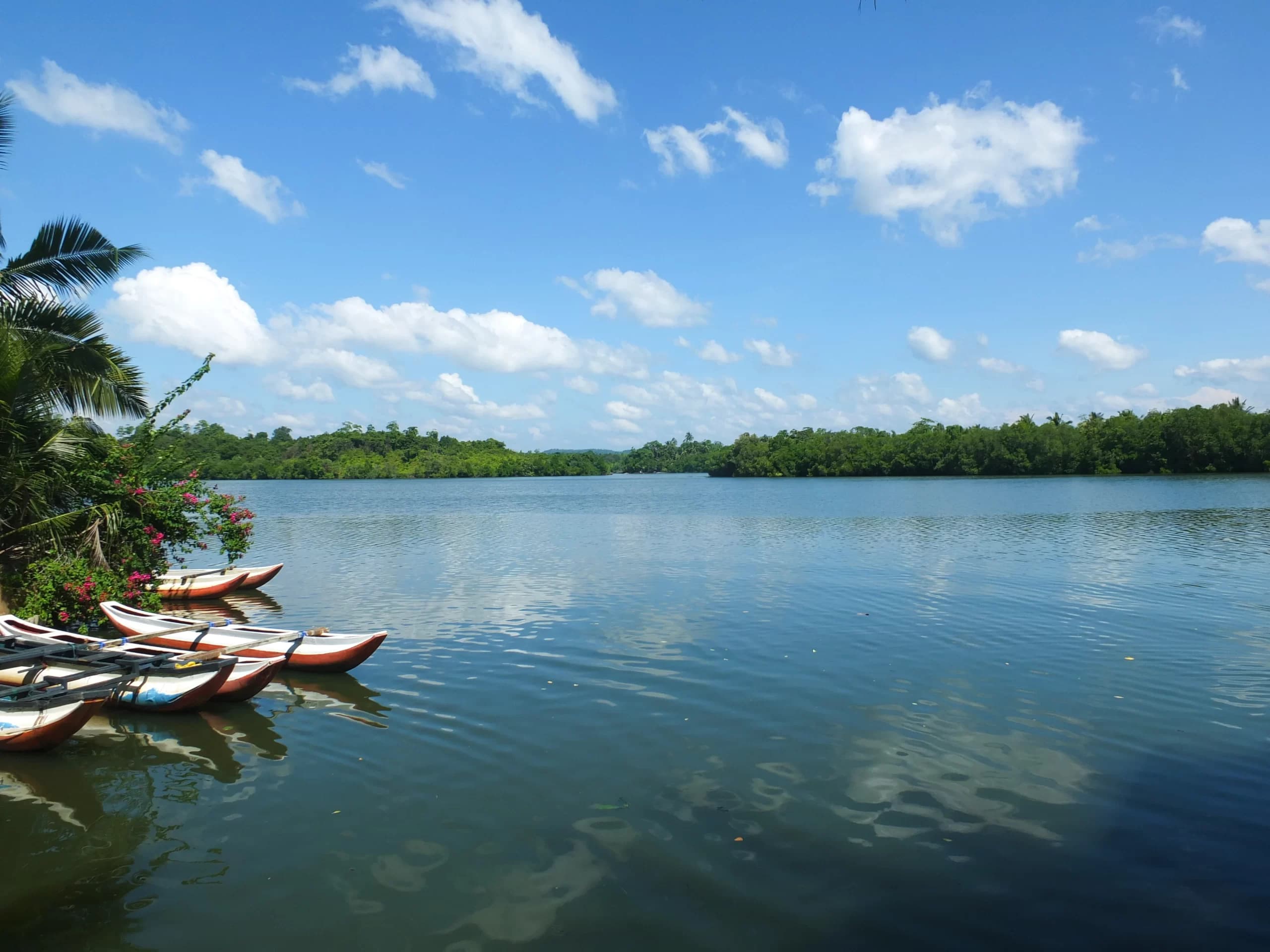 Koggala Lake-image