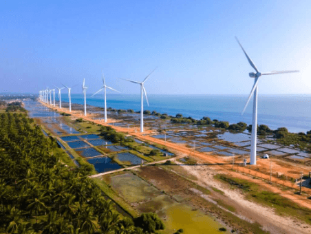 Puttalam Lagoon-image