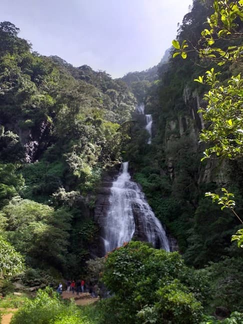 Natural Freshwater Pool-image