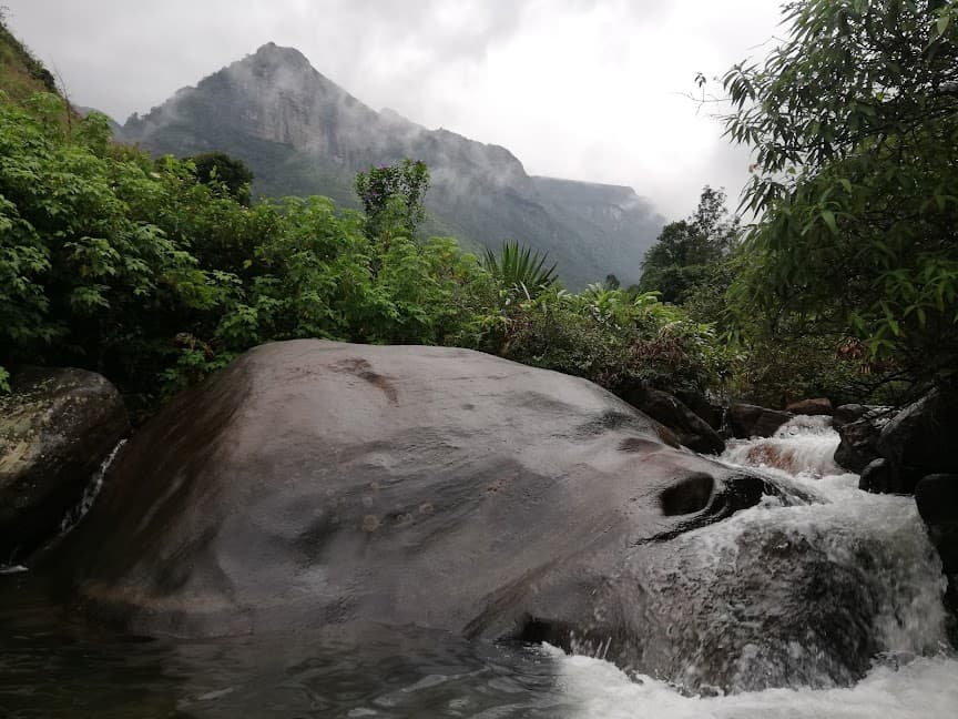 Cool Climate & Lush Greenery-image