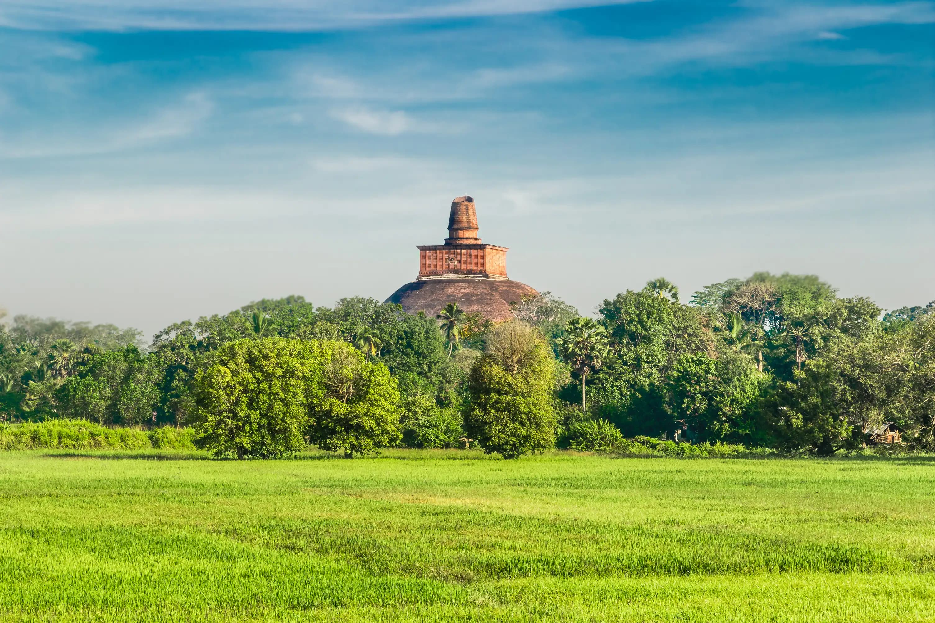 Anuradhapura Stupas Scenic Point bg image