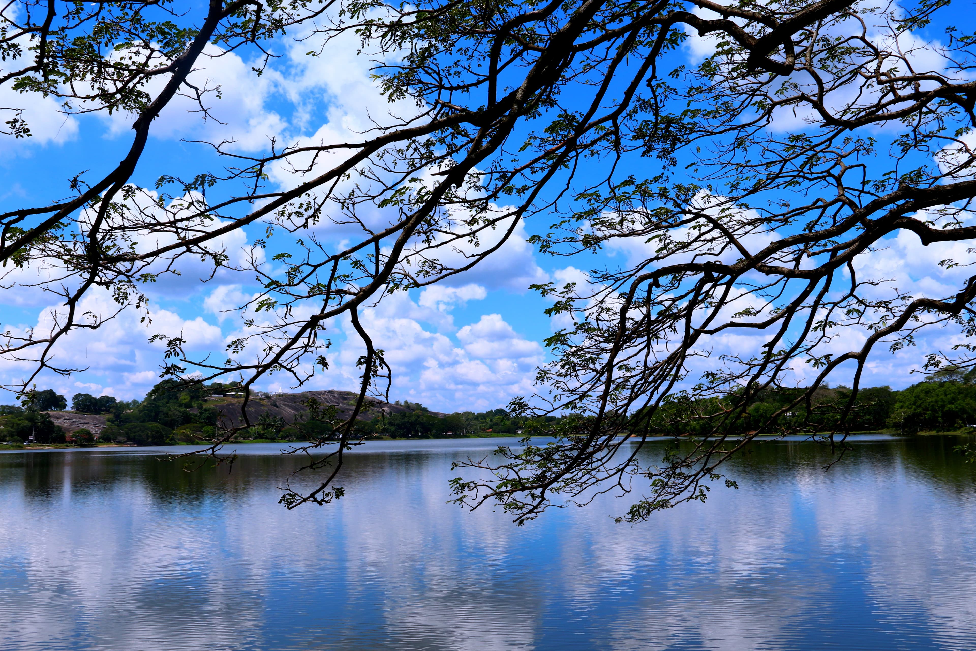 Kurunegala Lake bg image