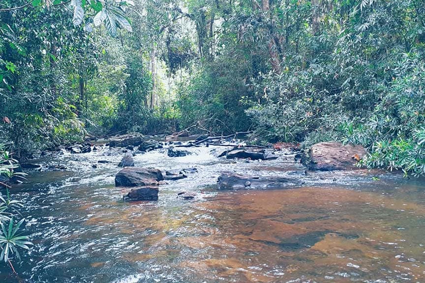 Kaluwarathenna Natural Pool-image