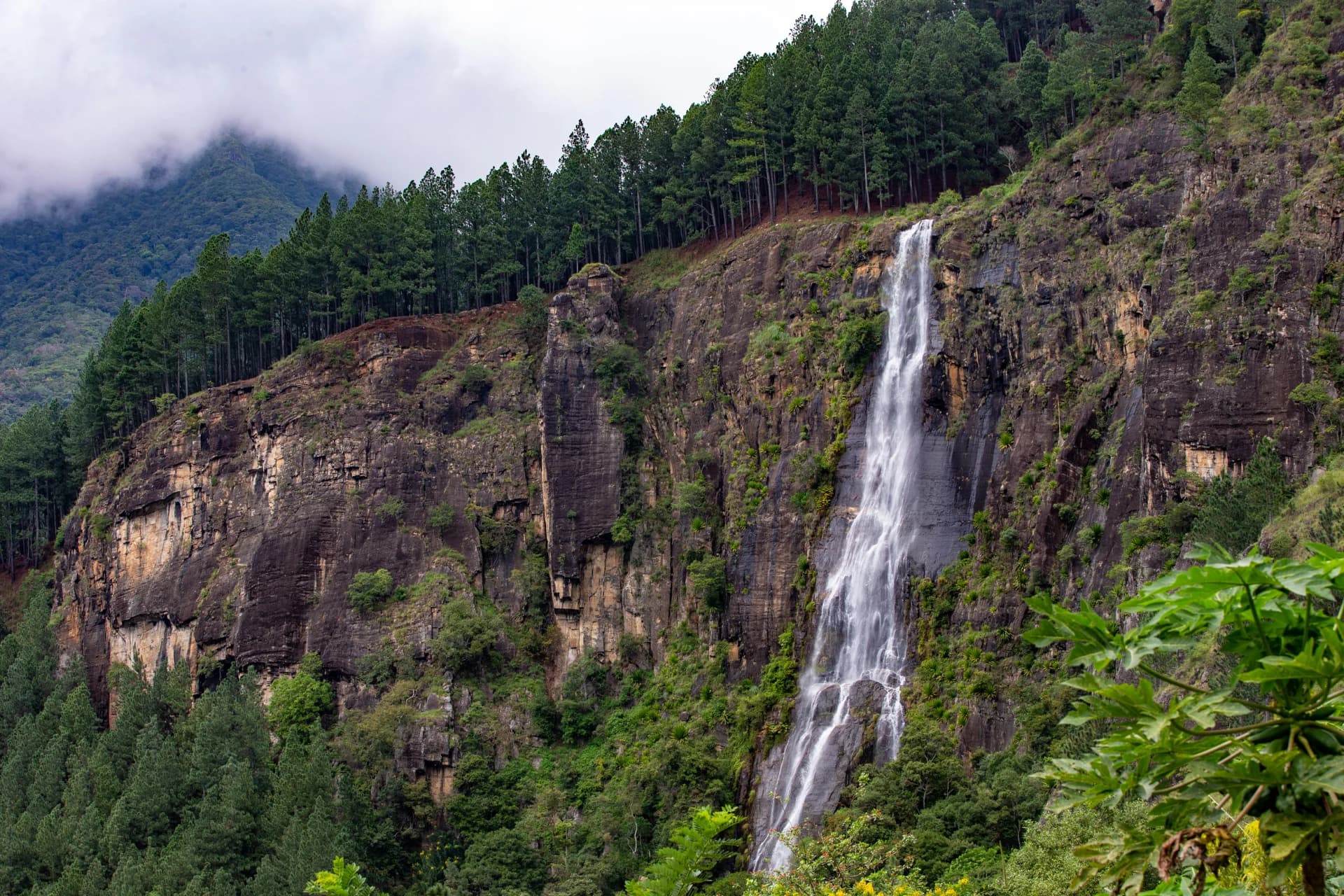 Bambarakanda Falls-image