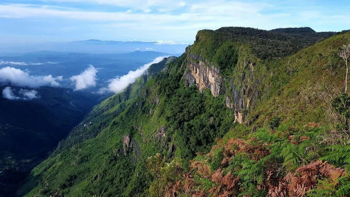 Horton Plains National Park-image