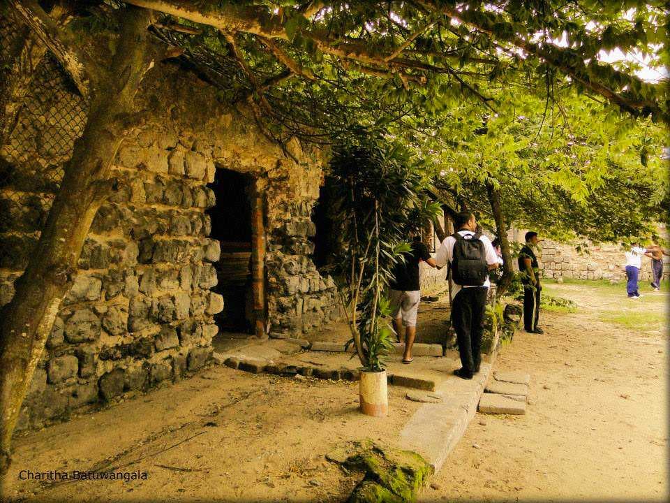 Coral & Limestone Walls-image