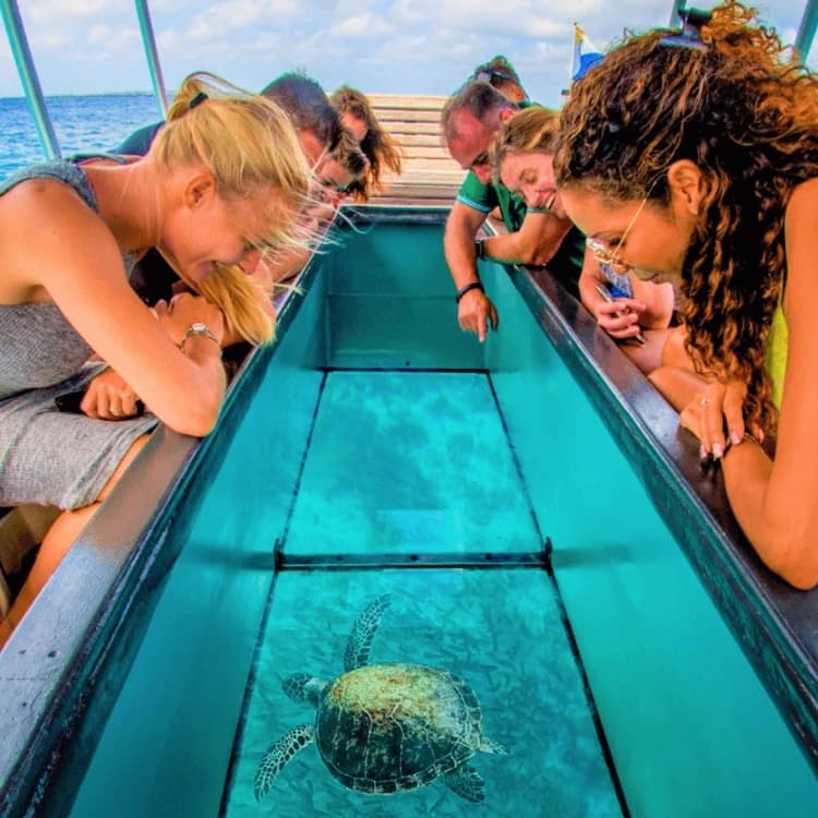 Glass Bottom Boat Tours-image