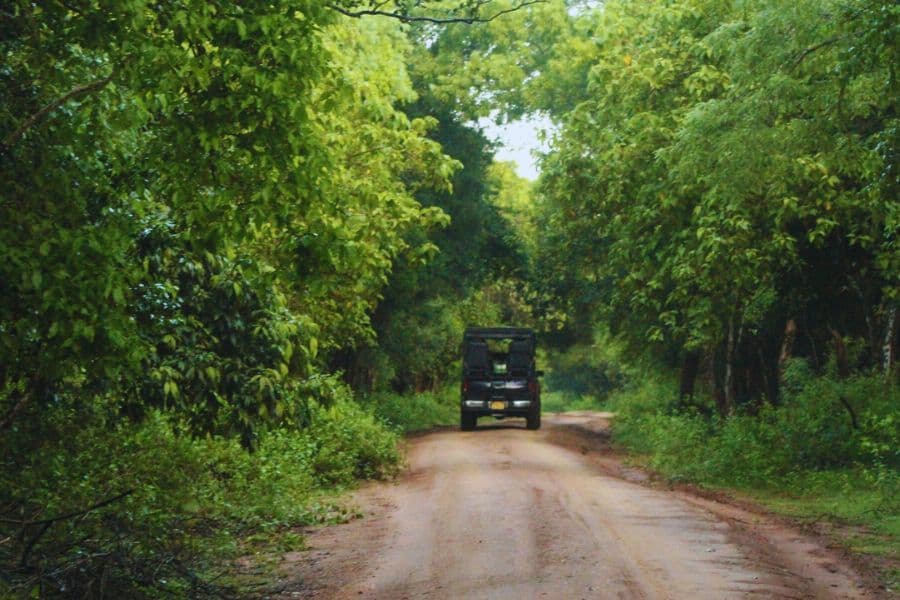 Wilpattu National Park-image