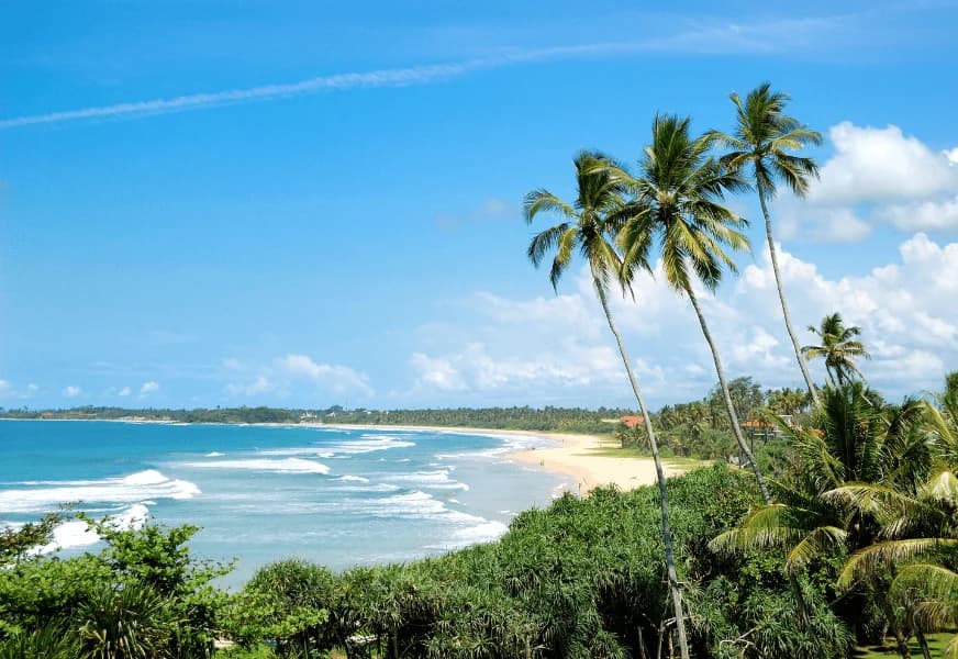 Bentota Beach bg image