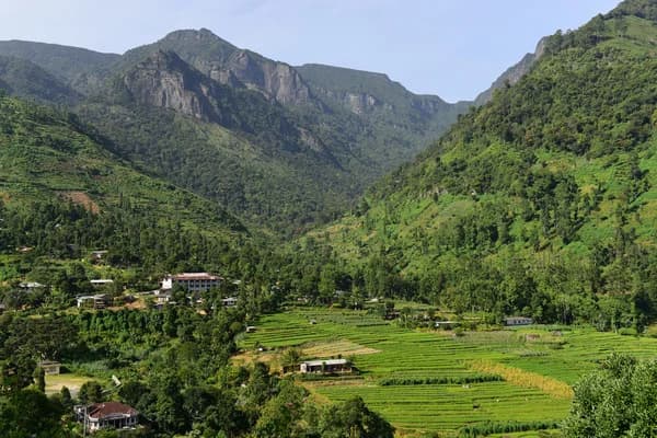 Located in 'Misty City'-image