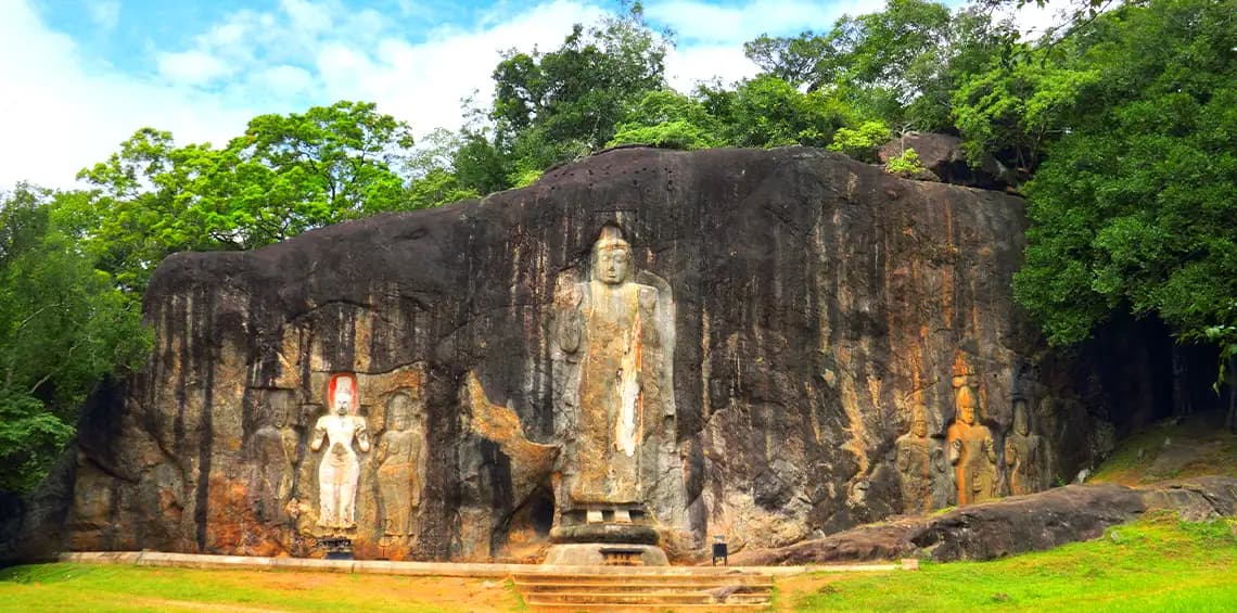 Serene Forest Surroundings-image