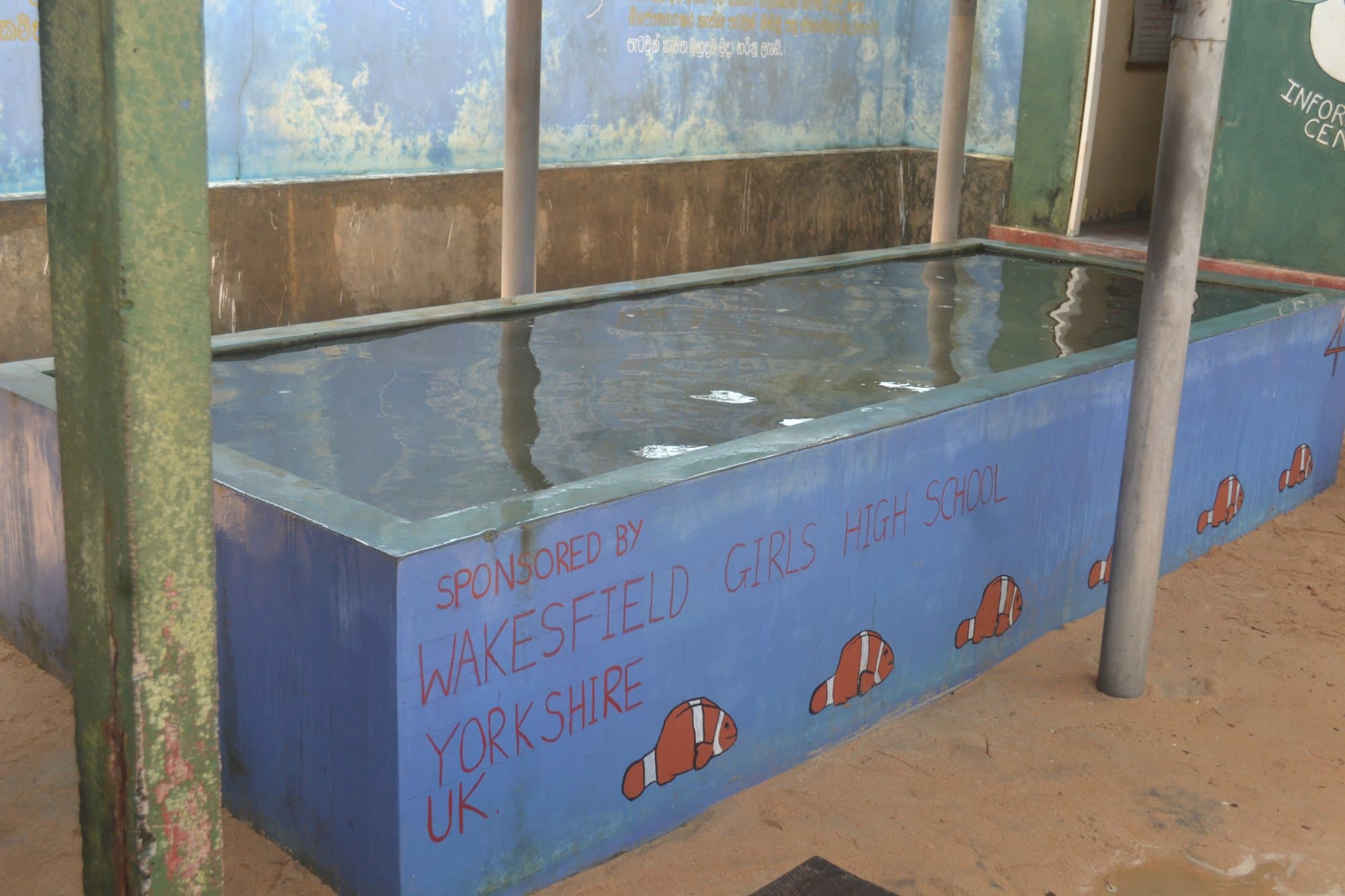 Hatchling Tanks-image