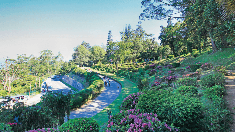 Playground for Kids-image