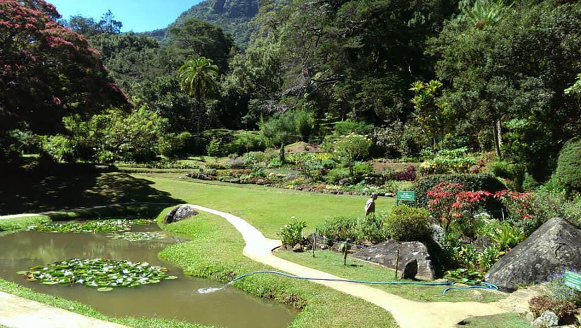 Japanese Garden-image
