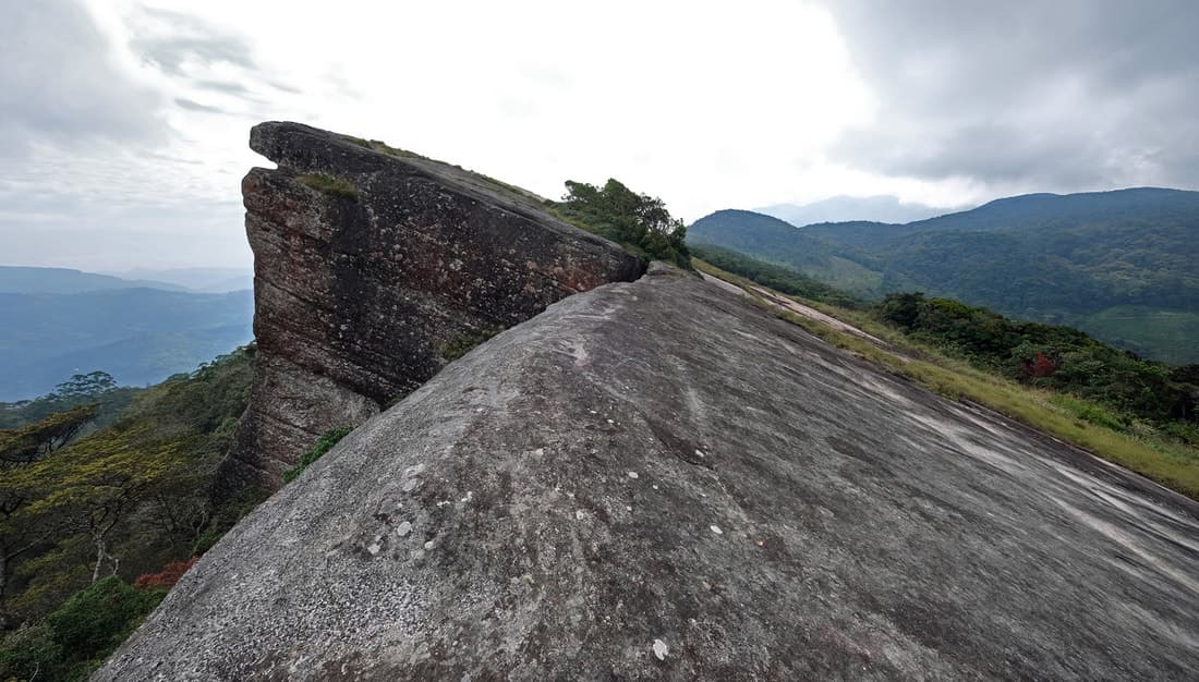 Loolecondera Tea Estate-image