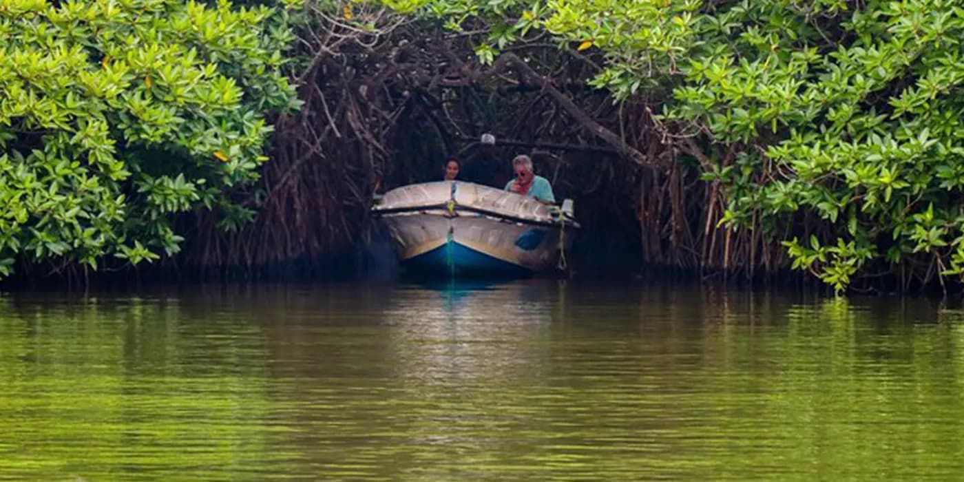 Madu Ganga River Safari-image