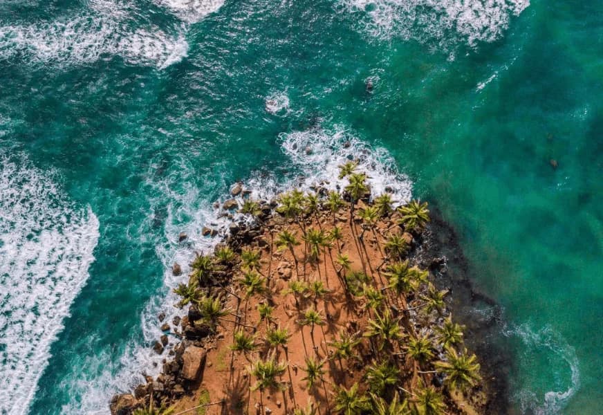 Coconut Tree Hill-image