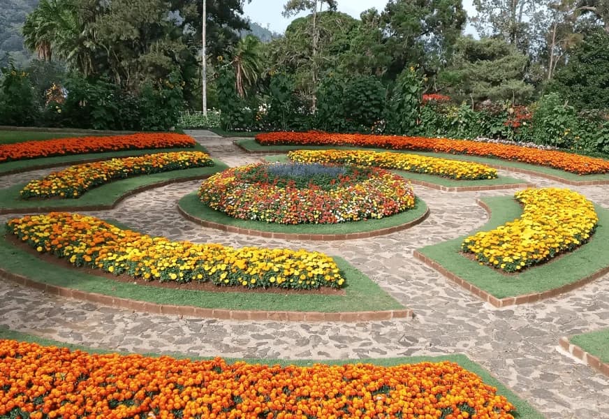 Hakgala Botanical Garden-image