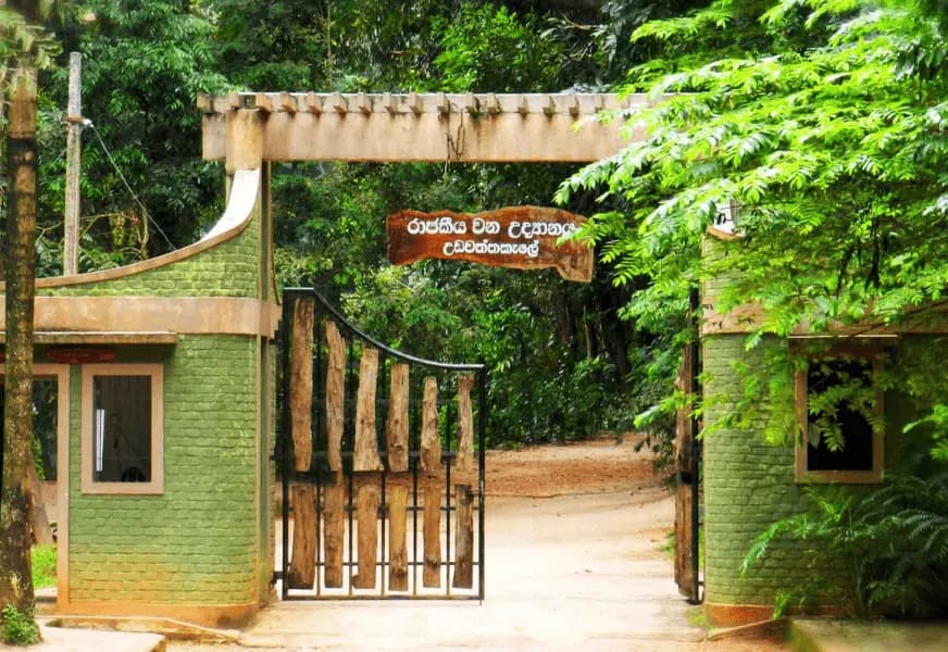 Udawatta Kele Sanctuary-image
